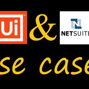 How to add a SalesOrder in NetSuite using UiPath Studio