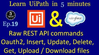All raw REST API commands that allow working with Salesforce | UiPath in 5 minutes | Ep:19