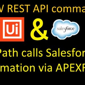 UiPath Studio calls Salesforce automation via APEXREST (HTTP REQUEST)