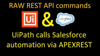 UiPath Studio calls Salesforce automation via APEXREST (HTTP REQUEST)
