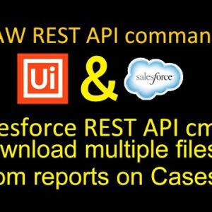 Download multiple files from Salesforce Cases, Accounts... | RAW REST API commands